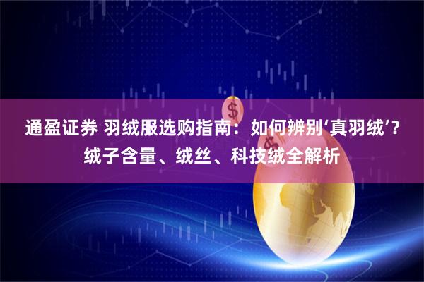 通盈证券 羽绒服选购指南：如何辨别‘真羽绒’？绒子含量、绒丝、科技绒全解析